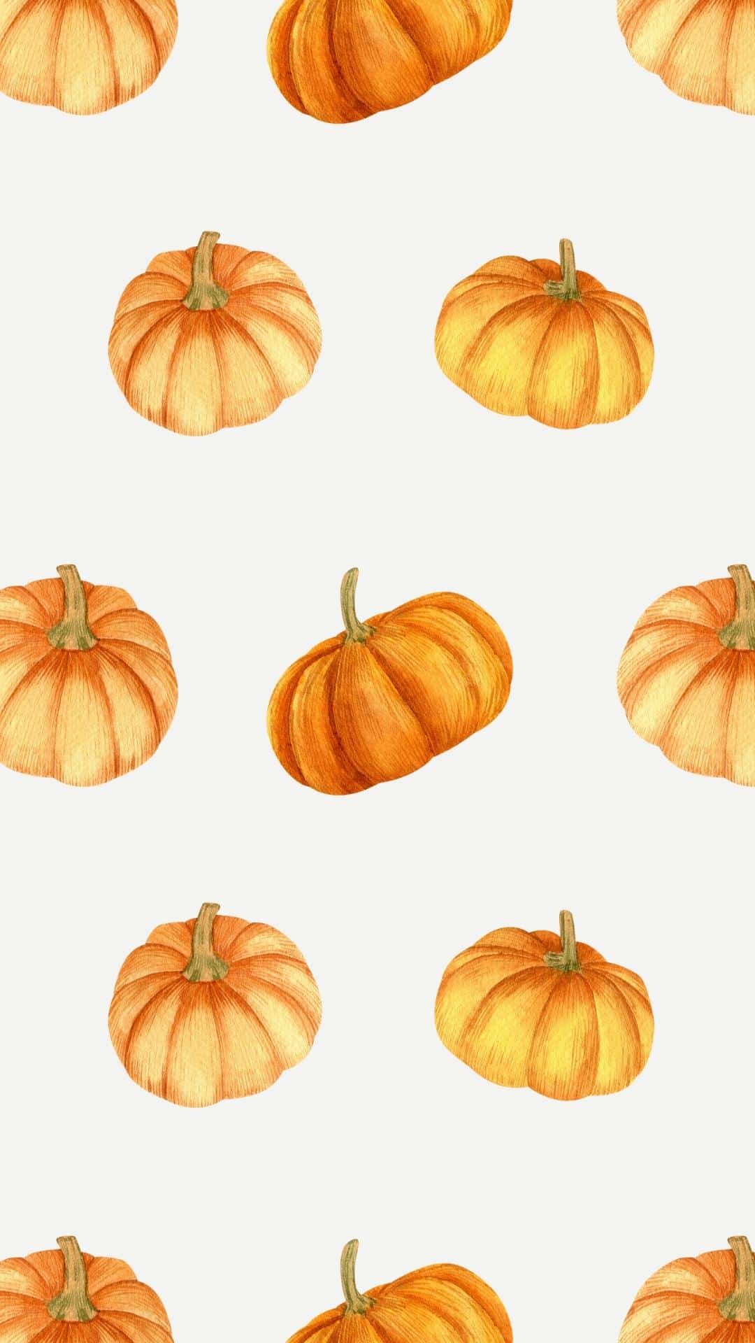 Orange pumpkins on a white background to be used as a fall phone background.