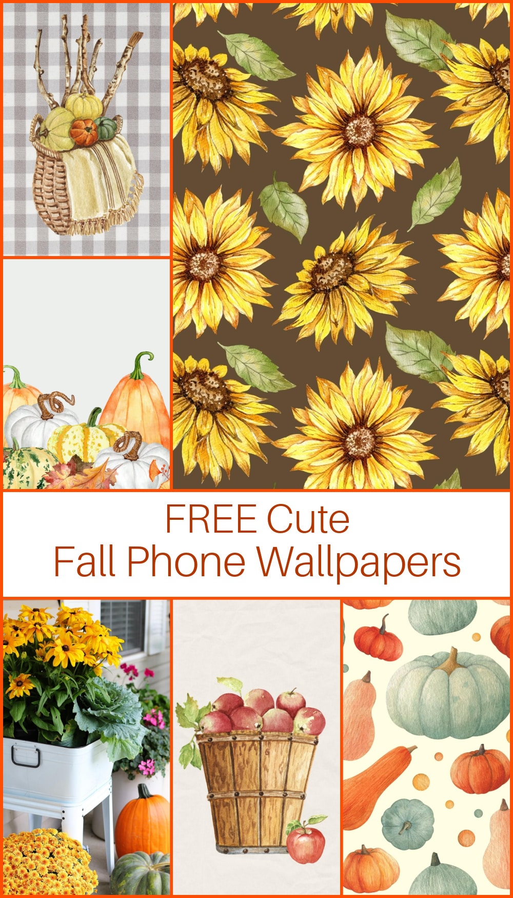 Fall iPhone Wallpapers - 30 Cute Fall iPhone Background Ideas for