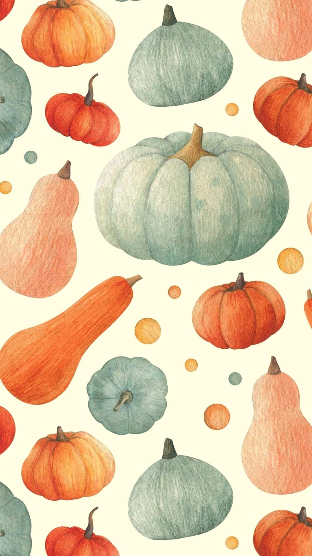 Colorful pumpkins and gourds that can be used as a fall background on your cellphone. 