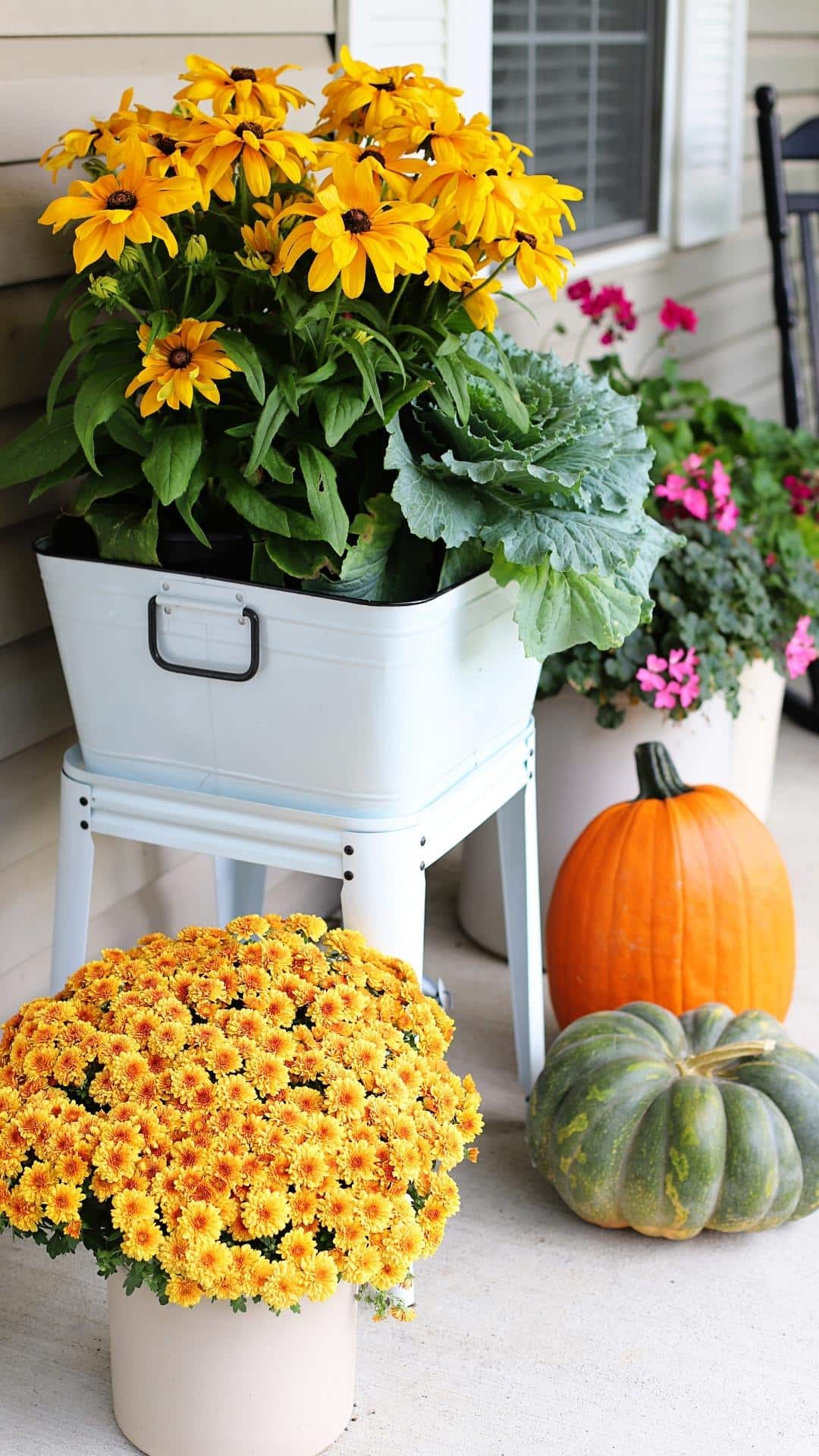 Fall iPhone background that can be used as a background on your home screen or lockscreen.  Features traditional fall mums, ornamental cabbage and Black-eyed- Susan. 