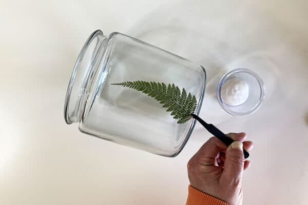 Checking for size of fern leaves for decoupaging on glass jar.