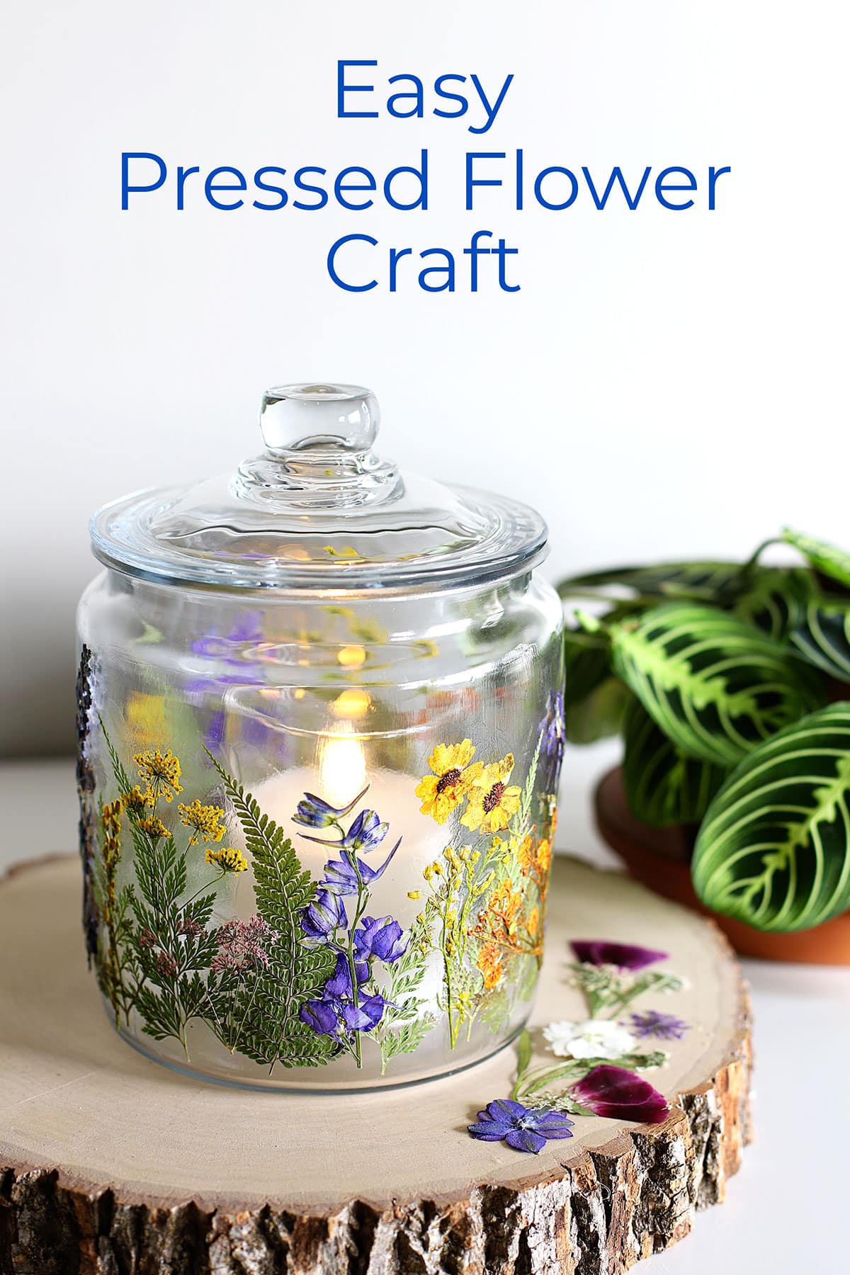 Glass jar with pressed flowers decoupaged onto it with a flickering candle inside. All setting on a wood slice. With the words Easy Pressed Flower Craft.