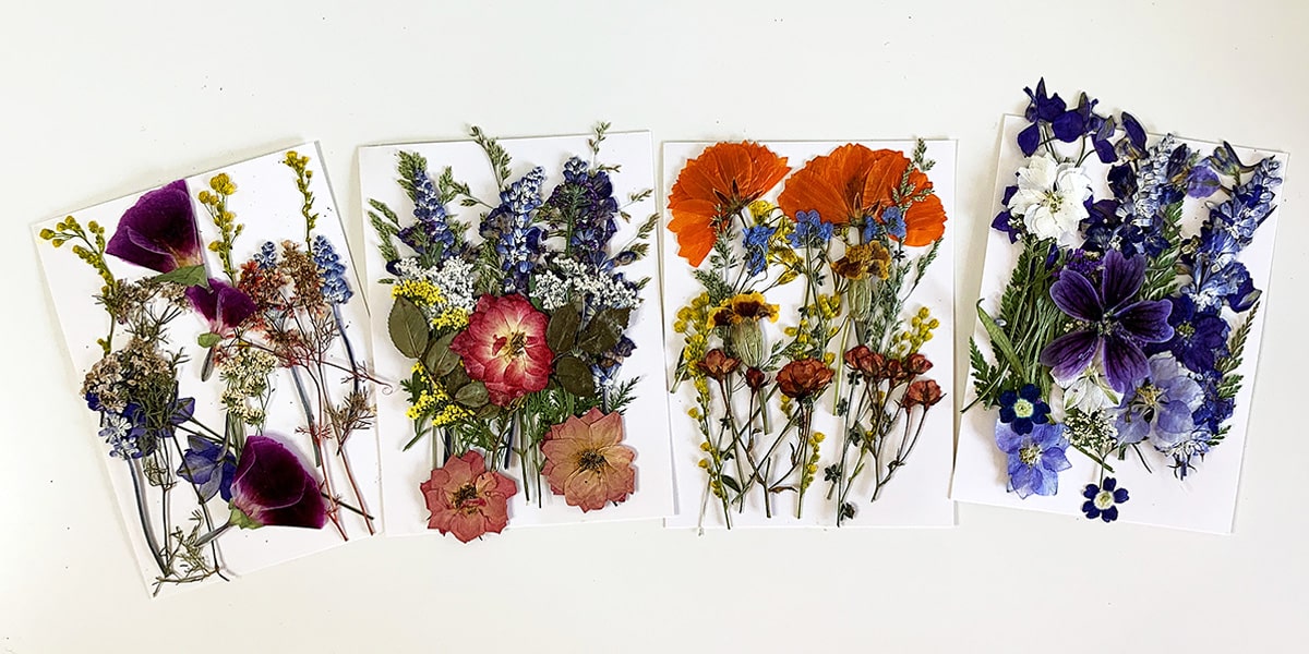 How to use Dried Flowers in Crafts