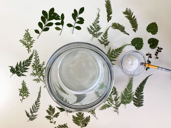 Fern pieces layed out for a mod podge craft idea.