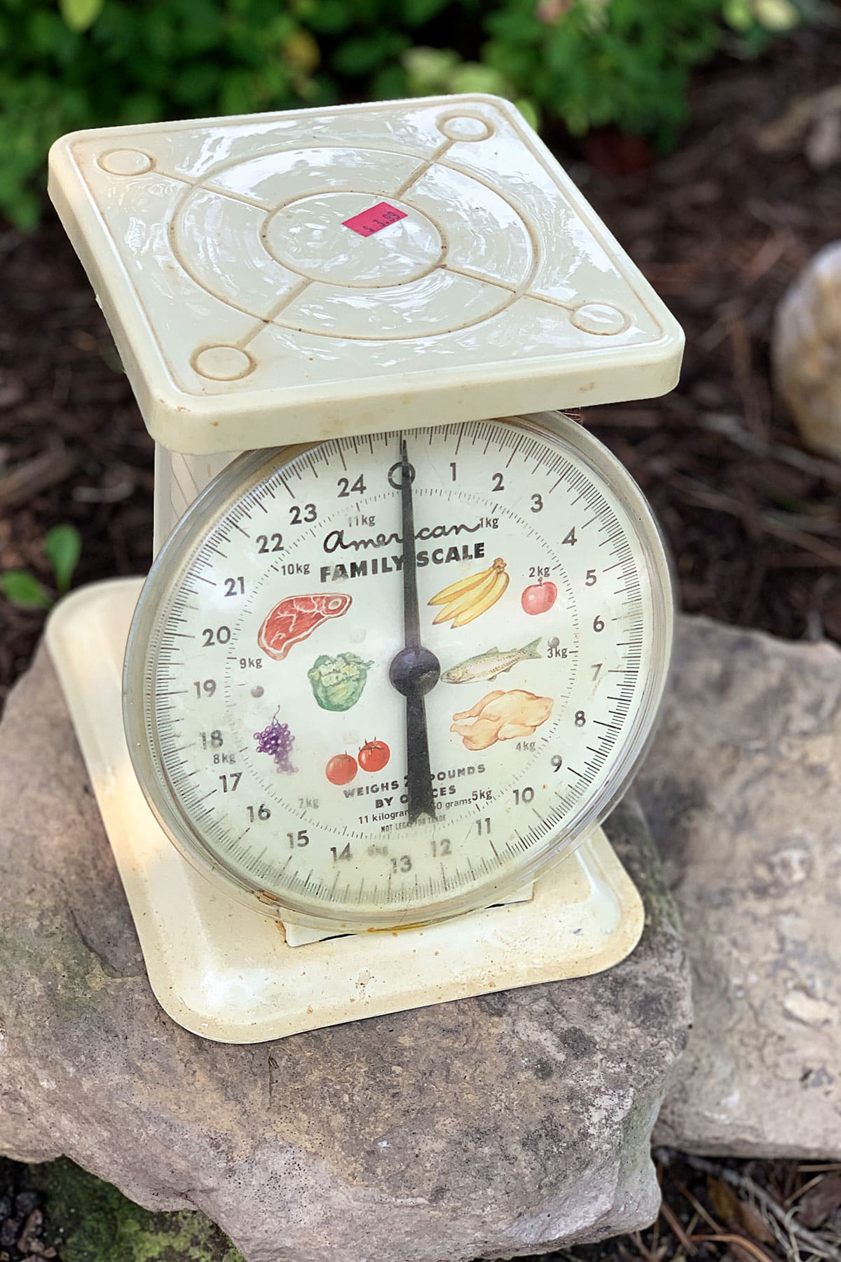White vintage kitchen scale  - American Family Scale with fruit. meat and veggies on the dial.