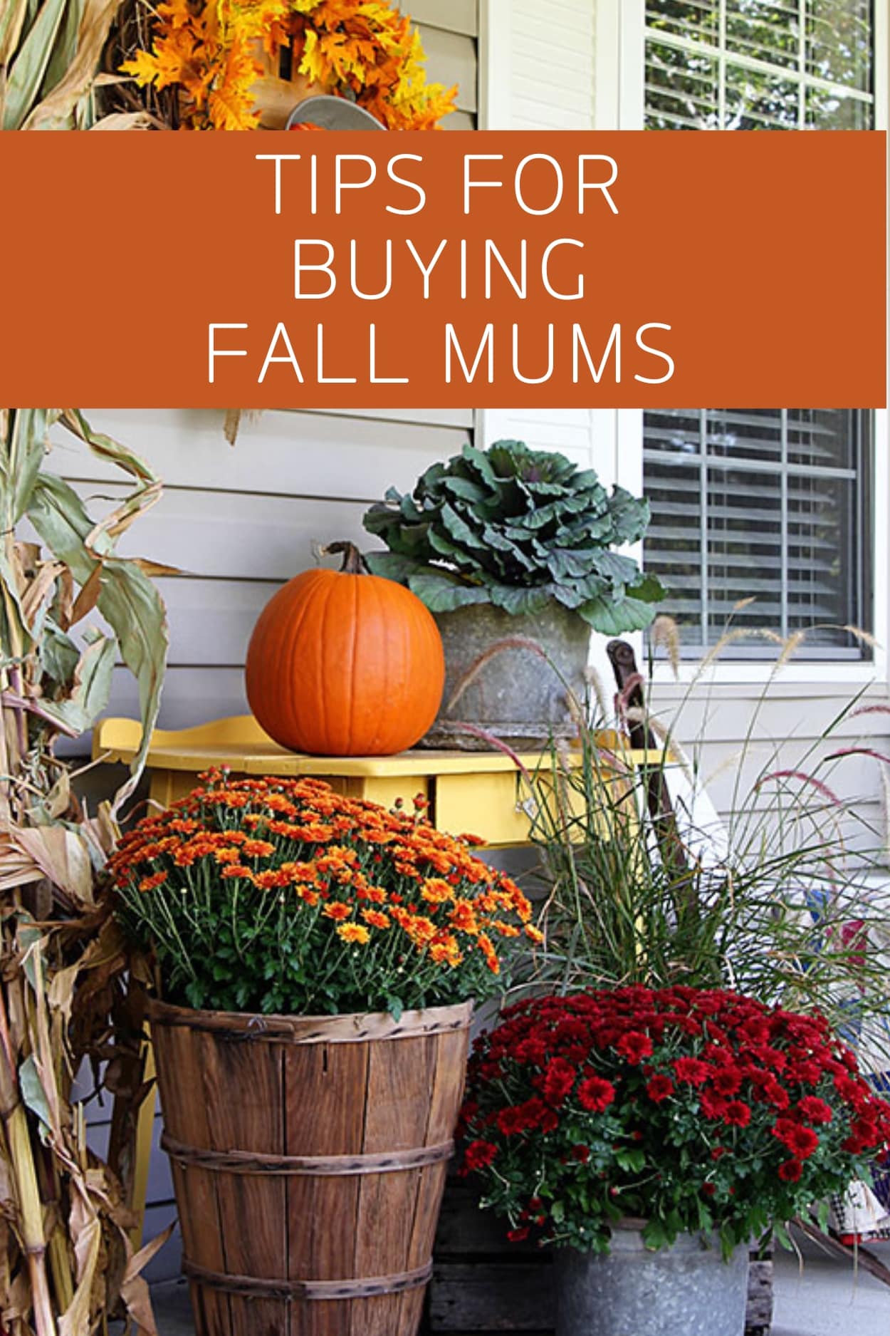 Showing a traditional fakk porch filled with mums, cabbage, grasses and cornstalks. 