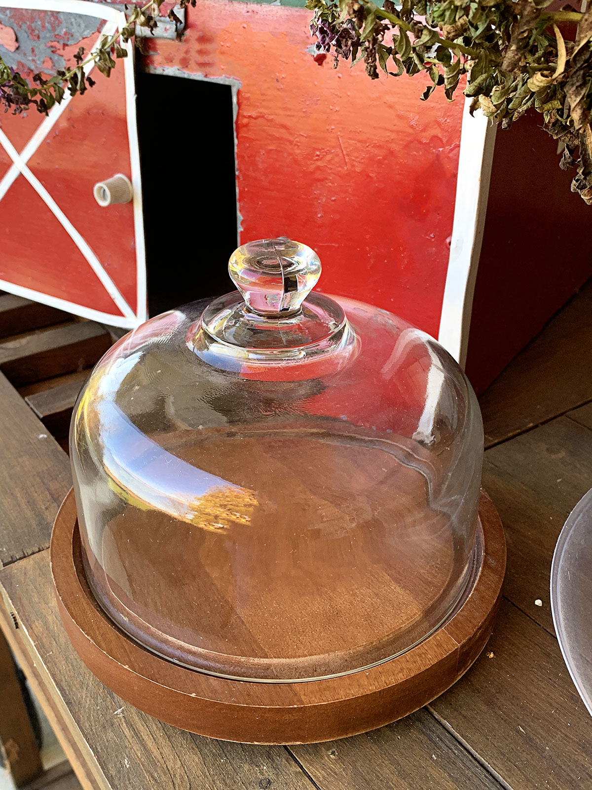 Thrift store glass cheese dome on a wooden base. Perfect for a little Christmas upcycle project.