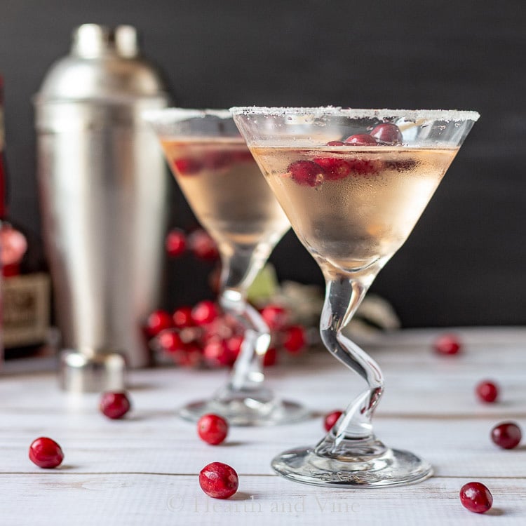 Cranberry martini for the holidays and martini shaker.