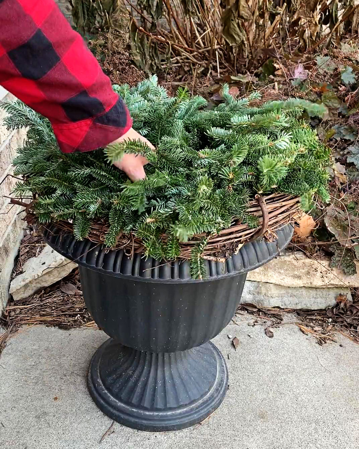Adding a fresh greens wreath to a winter porch pot.