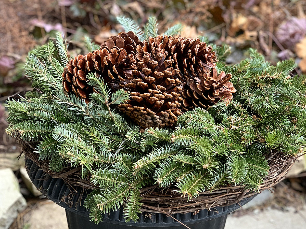 Finished outdoor christmas planter with pine cones, fresh greenery and a grapvine wreath.