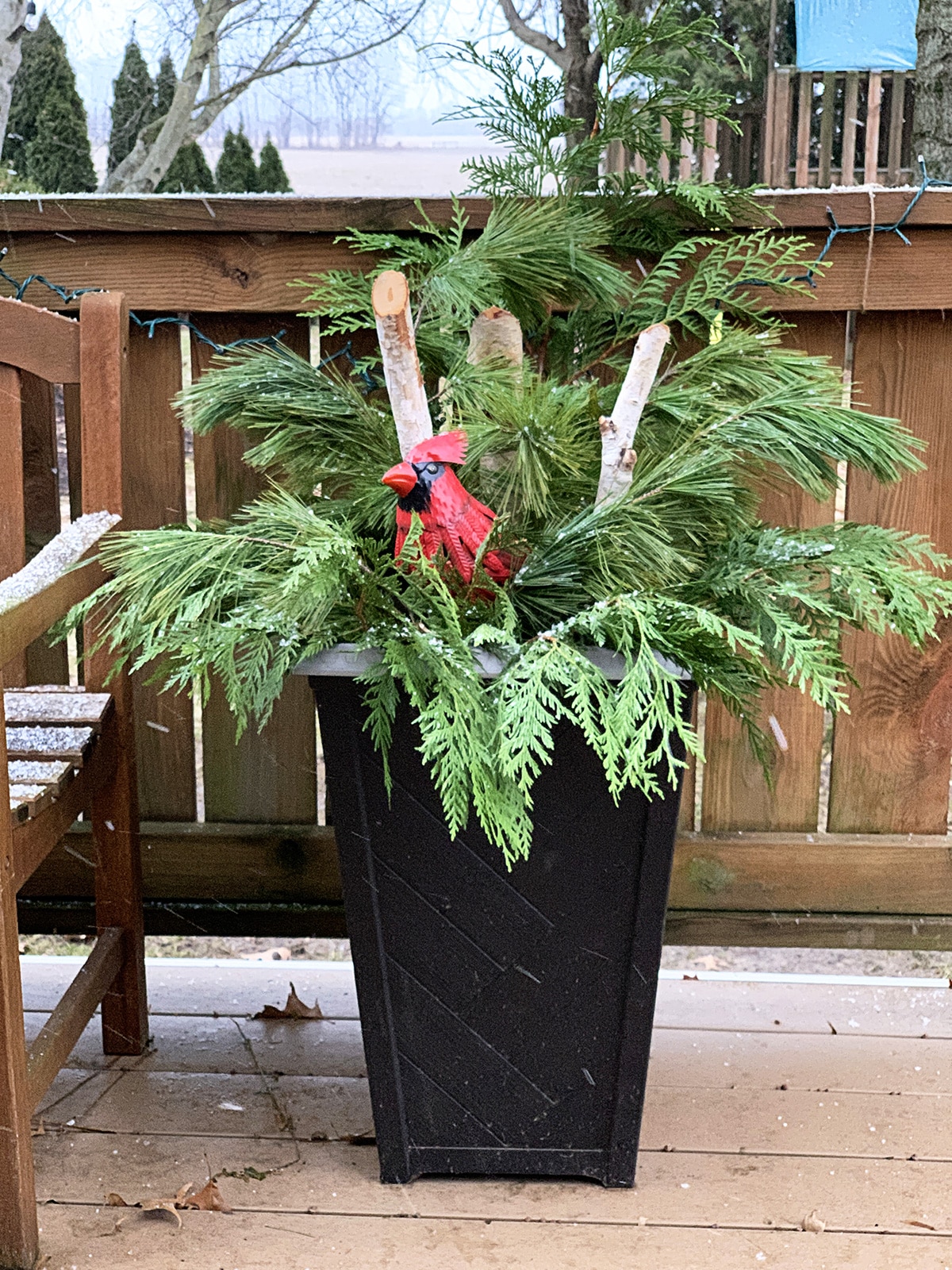 Winter porch planter with a cardinal nesting in the pine boughs.