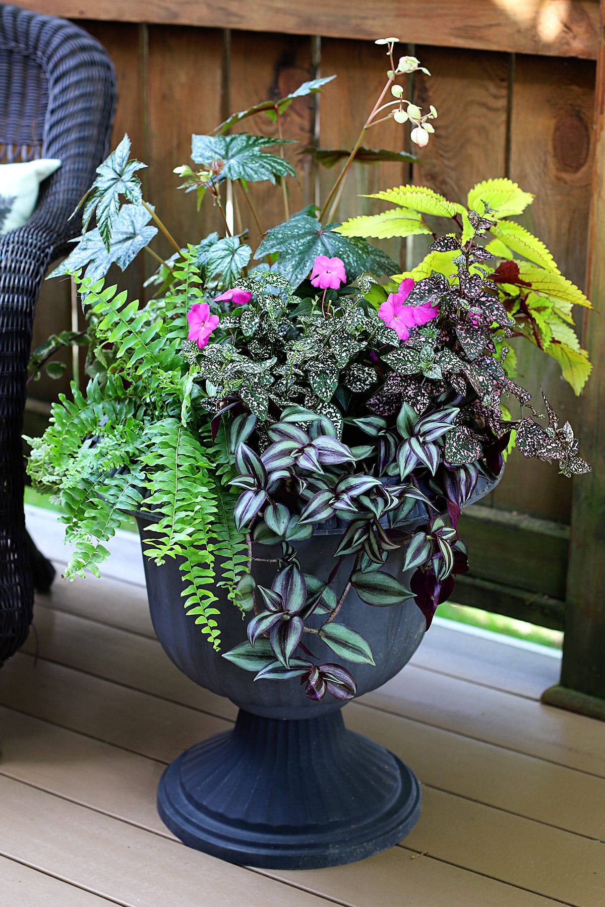 Houseplants used in an outdoor planter during the summer and tips for how to safely bring them inside for the winter.