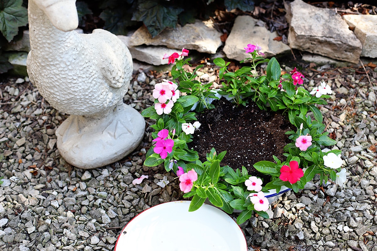 Taking the water fountain bowl off the top of the planter so it can be cleaned.
