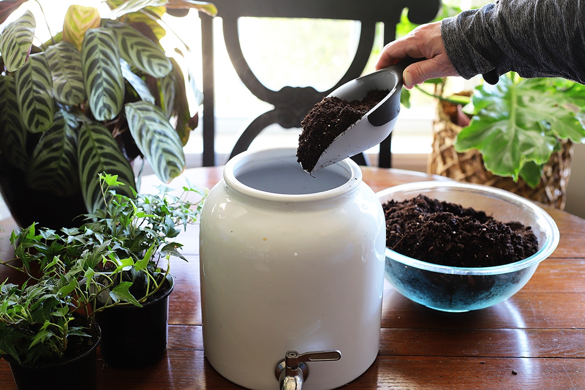 Adding potting soil to the container, leaving enough room to place the plants.