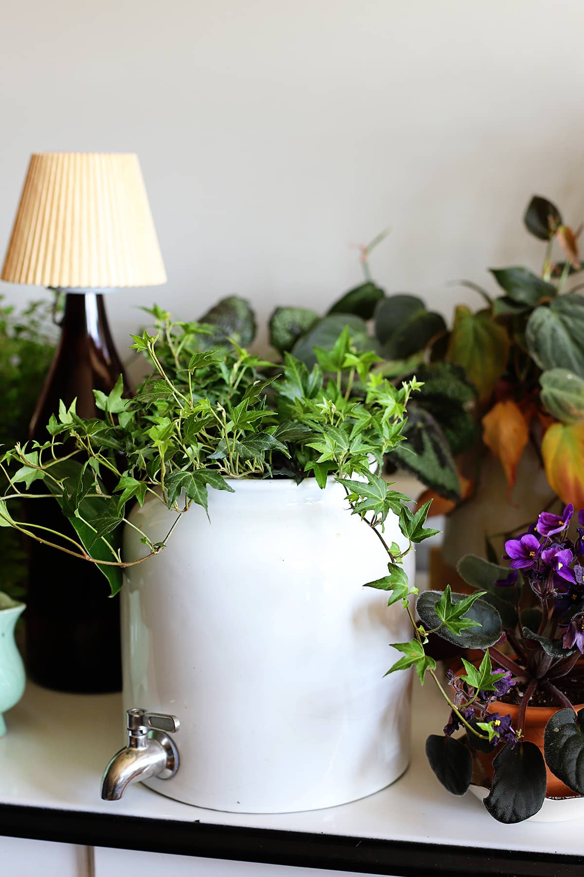 Upcycled beverage crock turned into a unique planter. Crock is planted with ivy and is sitting on a table with other indoor houseplants.